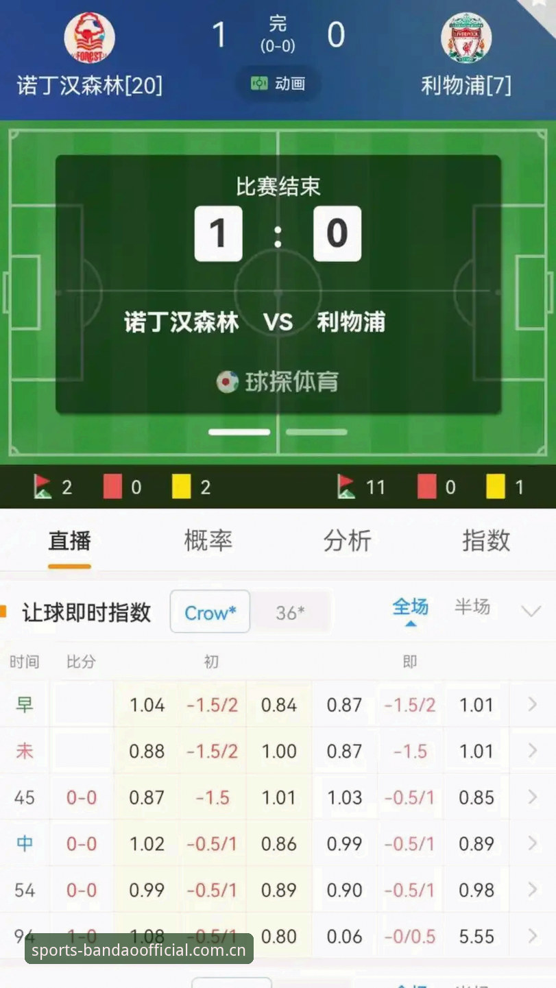 中文版半岛体育CN赛事比分实操指南：从0到上手只需10分钟